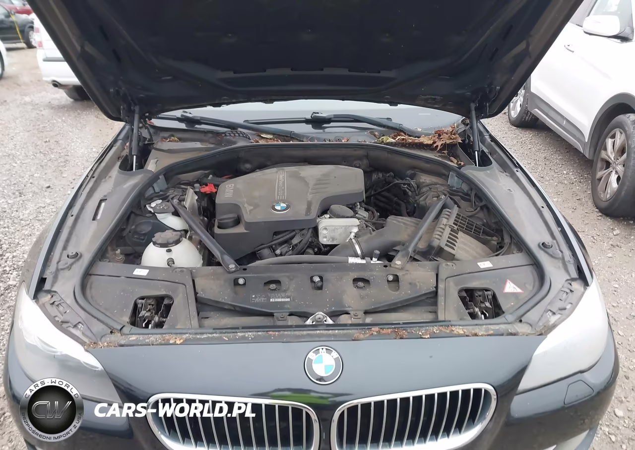 2013 BMW 528I VIN:WBAXG5C51DDY31503 - 10