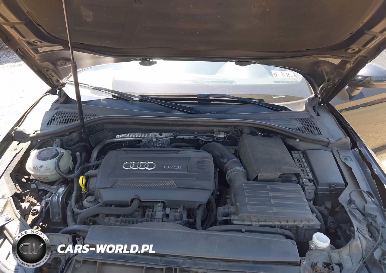 2017 Audi A3 2.0T Premium VIN:WAUJ8GFF5H1044886 - 10