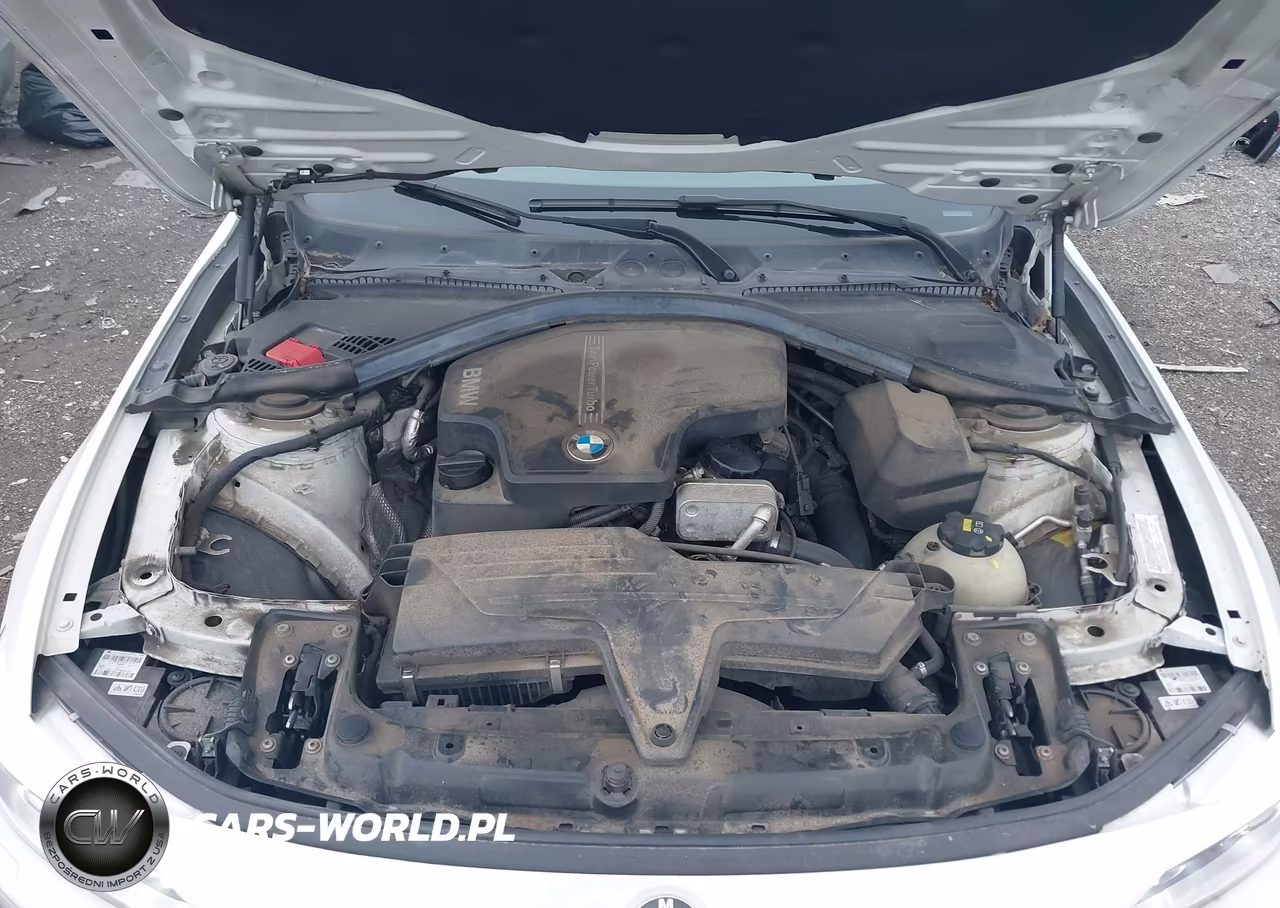 2015 BMW 428I xDrive VIN:WBA3N5C59FK197800 - 10