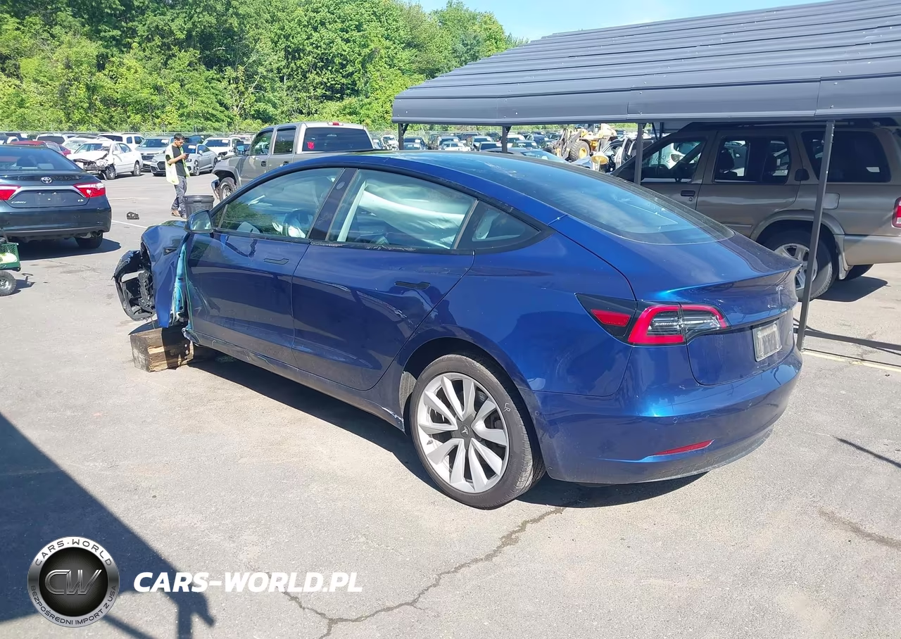 2021 Tesla Model 3 Long Range VIN:5YJ3E1EB4MF087794 - 3