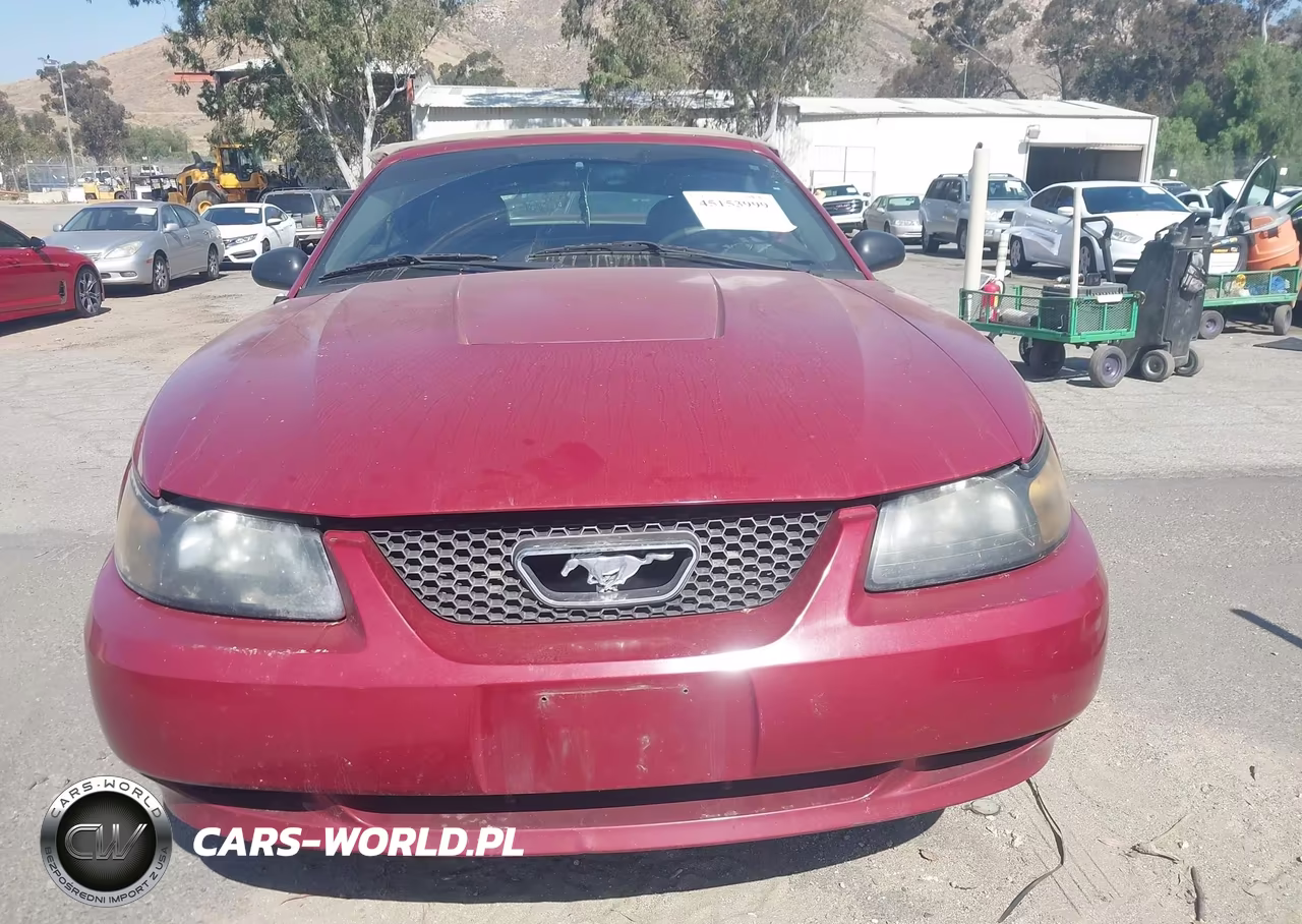 2004 Ford Mustang VIN:1FAFP44664F236740 - 6