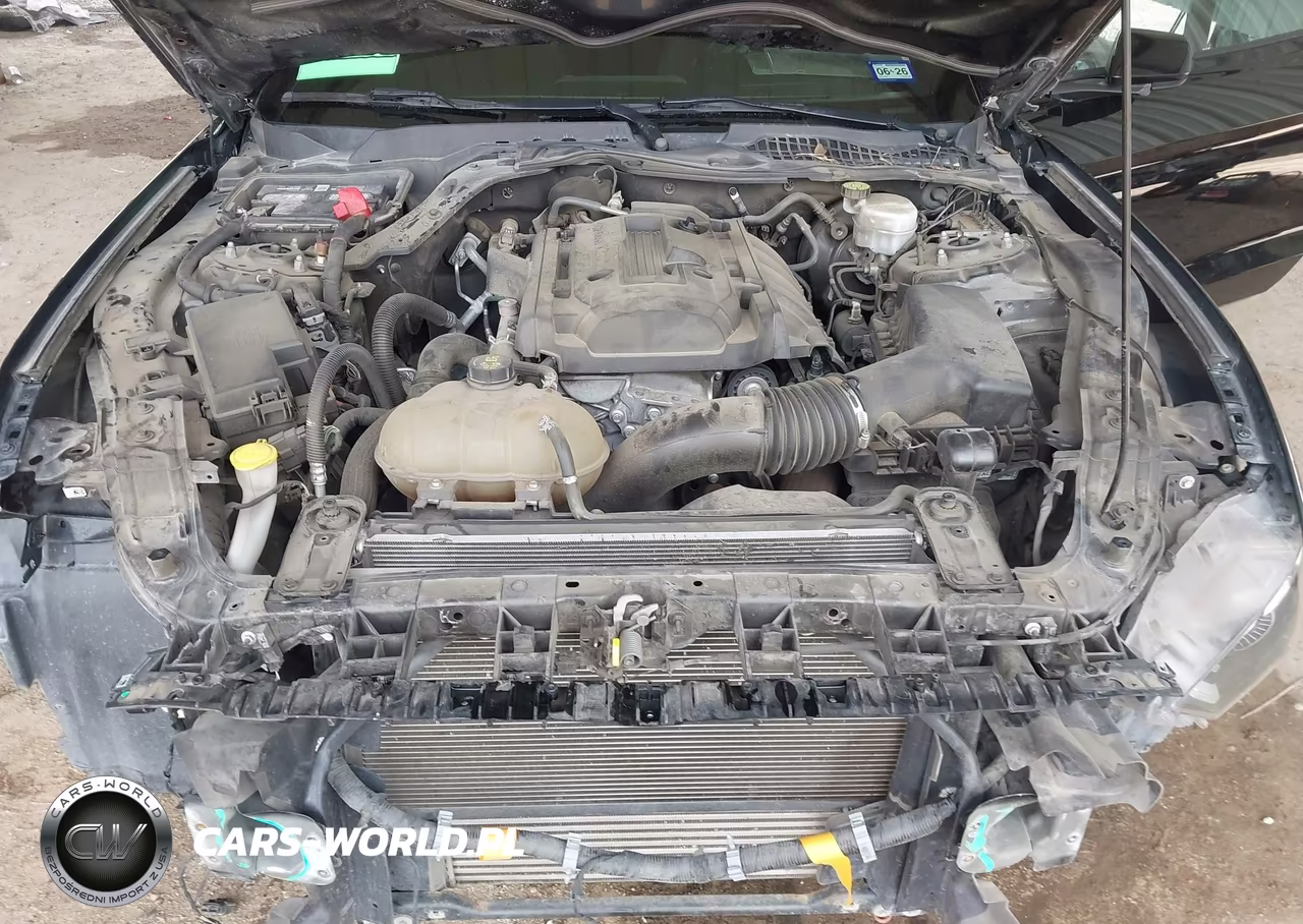 2019 Ford Mustang Ecoboost VIN:1FA6P8TH6K5202794 - 10