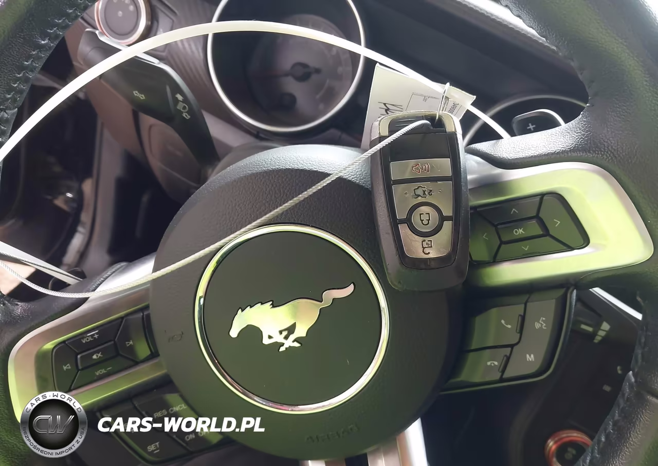 2019 Ford Mustang Ecoboost VIN:1FA6P8TH6K5202794 - 11