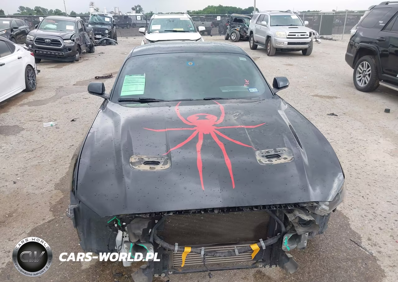 2019 Ford Mustang Ecoboost VIN:1FA6P8TH6K5202794 - 12