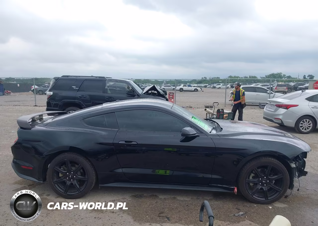 2019 Ford Mustang Ecoboost VIN:1FA6P8TH6K5202794 - 13