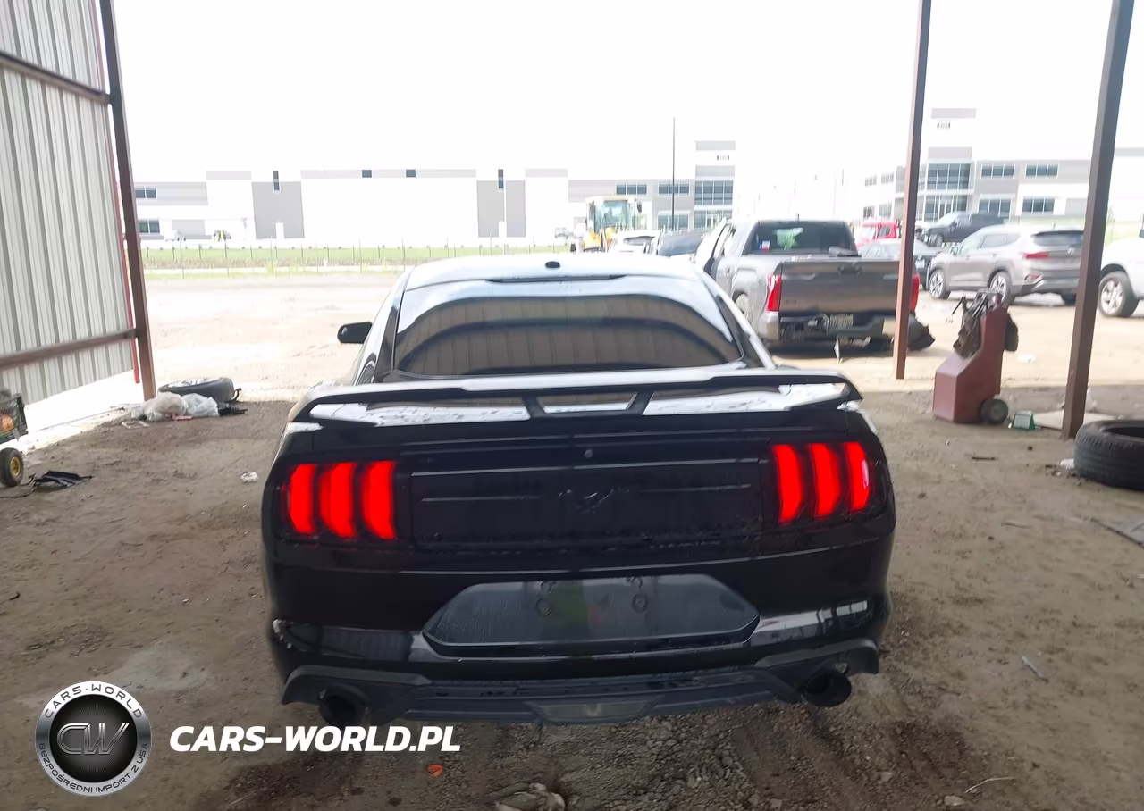 2019 Ford Mustang Ecoboost VIN:1FA6P8TH6K5202794 - 16