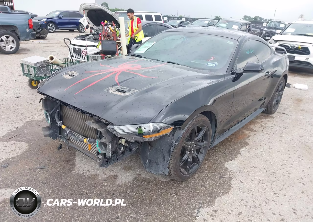 2019 Ford Mustang Ecoboost VIN:1FA6P8TH6K5202794 - 2
