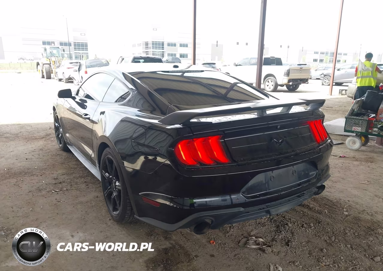 2019 Ford Mustang Ecoboost VIN:1FA6P8TH6K5202794 - 3