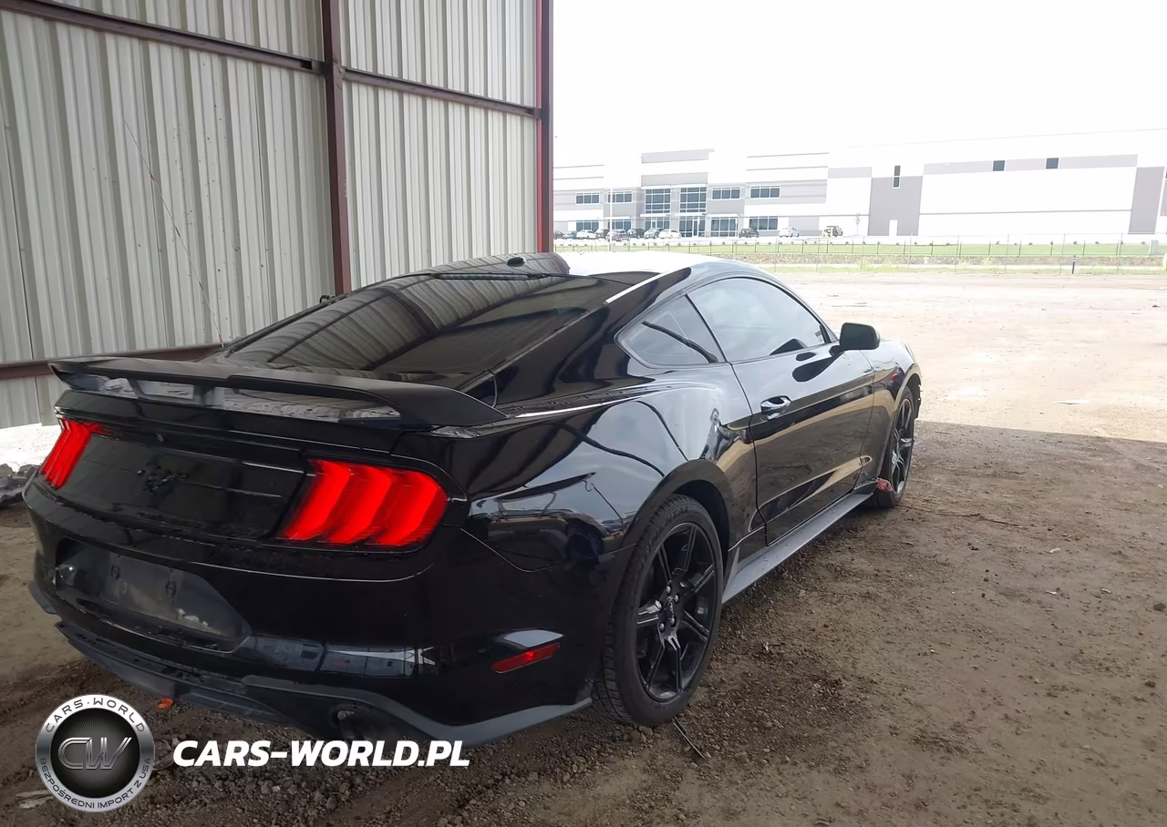 2019 Ford Mustang Ecoboost VIN:1FA6P8TH6K5202794 - 4