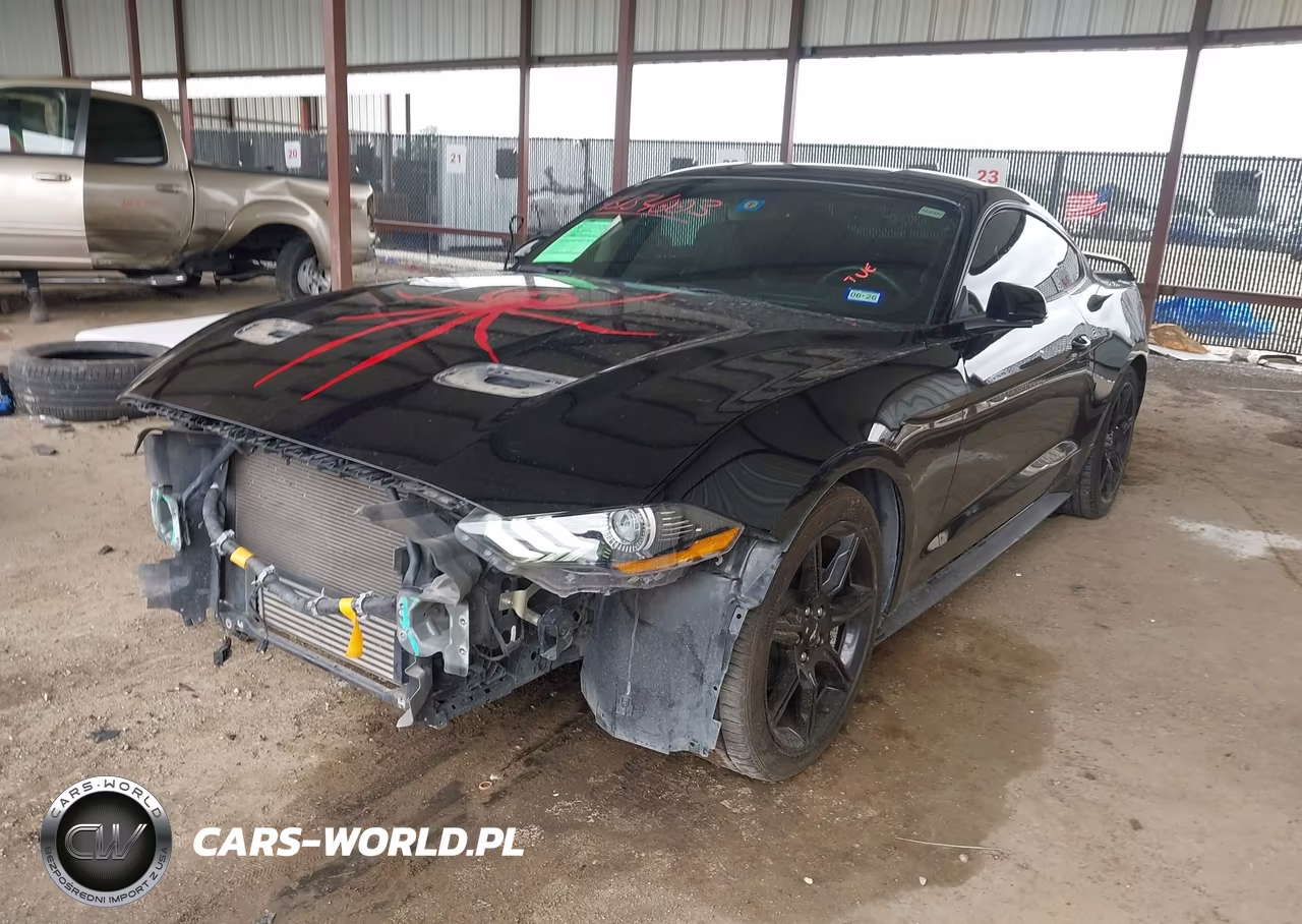 2019 Ford Mustang Ecoboost VIN:1FA6P8TH6K5202794 - 6