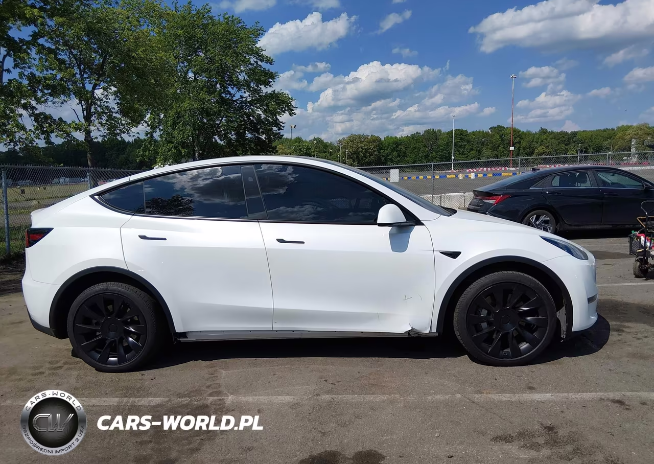 2024 Tesla Model Y Long Range Dual Motor All-Wheel Drive VIN:7SAYGDEE0RA332223 - 12