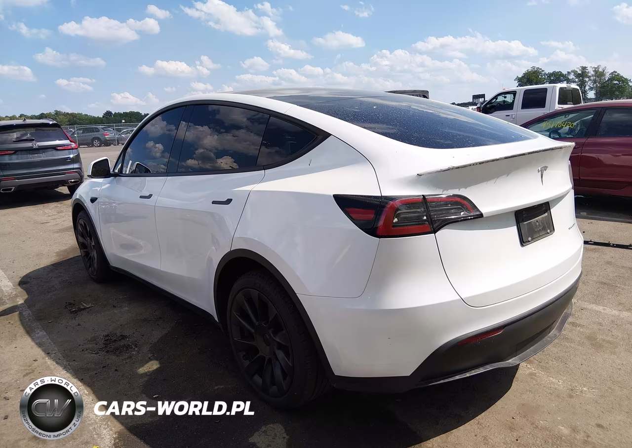 2024 Tesla Model Y Long Range Dual Motor All-Wheel Drive VIN:7SAYGDEE0RA332223 - 3