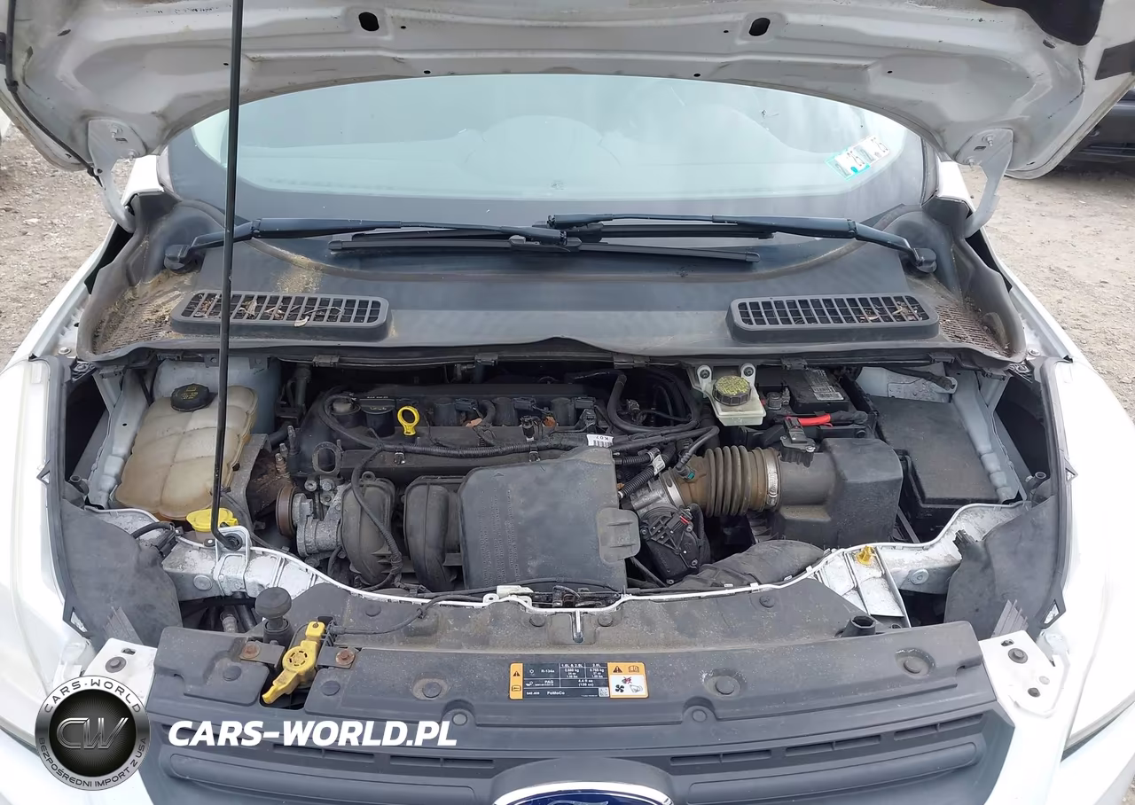 2014 Ford Escape S VIN:1FMCU0F7XEUB52658 - 10