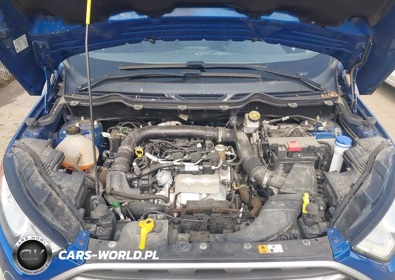 2019 Ford Ecosport Se VIN:MAJ3S2GE6KC308592 - 10