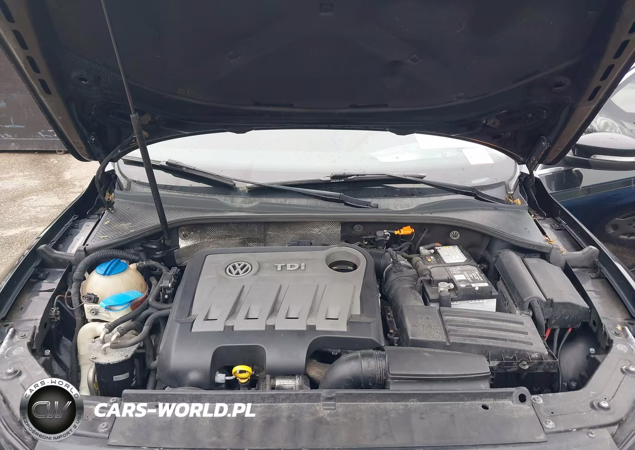 2014 Volkswagen Passat 2.0L Tdi Sel Premium VIN:1VWCN7A3XEC092625 - 10