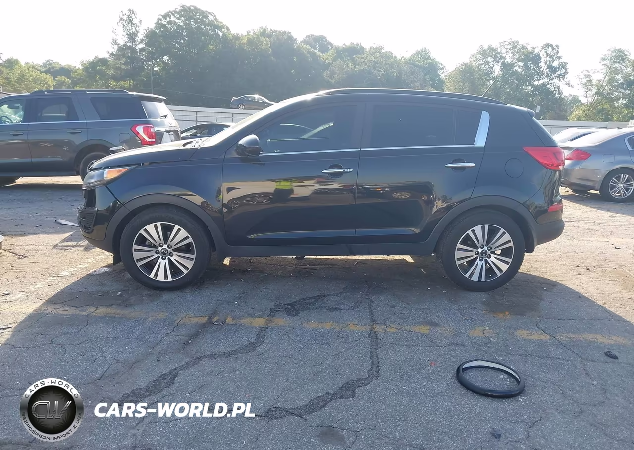 2016 Kia Sportage Ex VIN:KNDPC3AC4G7831163 - 14