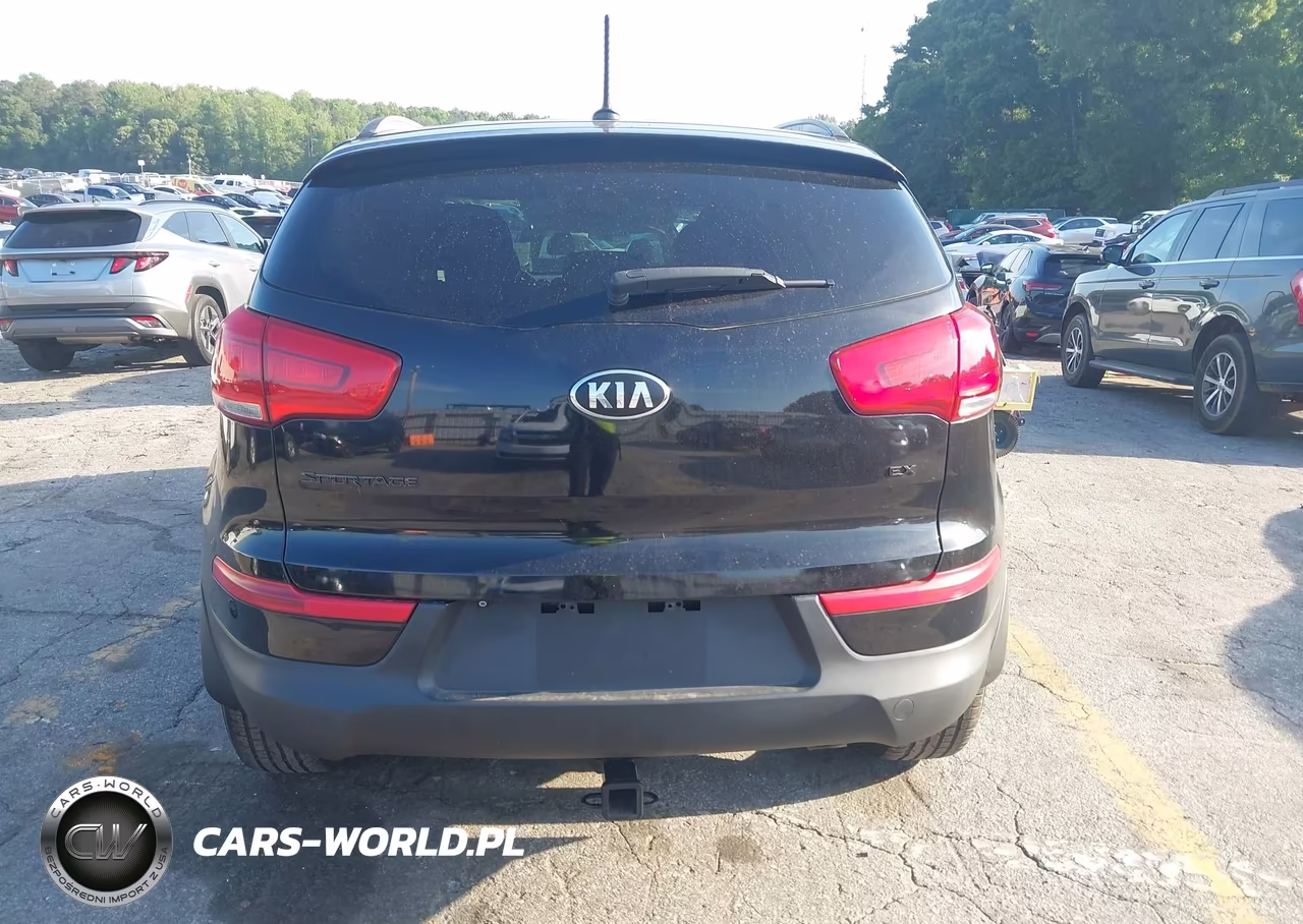 2016 Kia Sportage Ex VIN:KNDPC3AC4G7831163 - 16