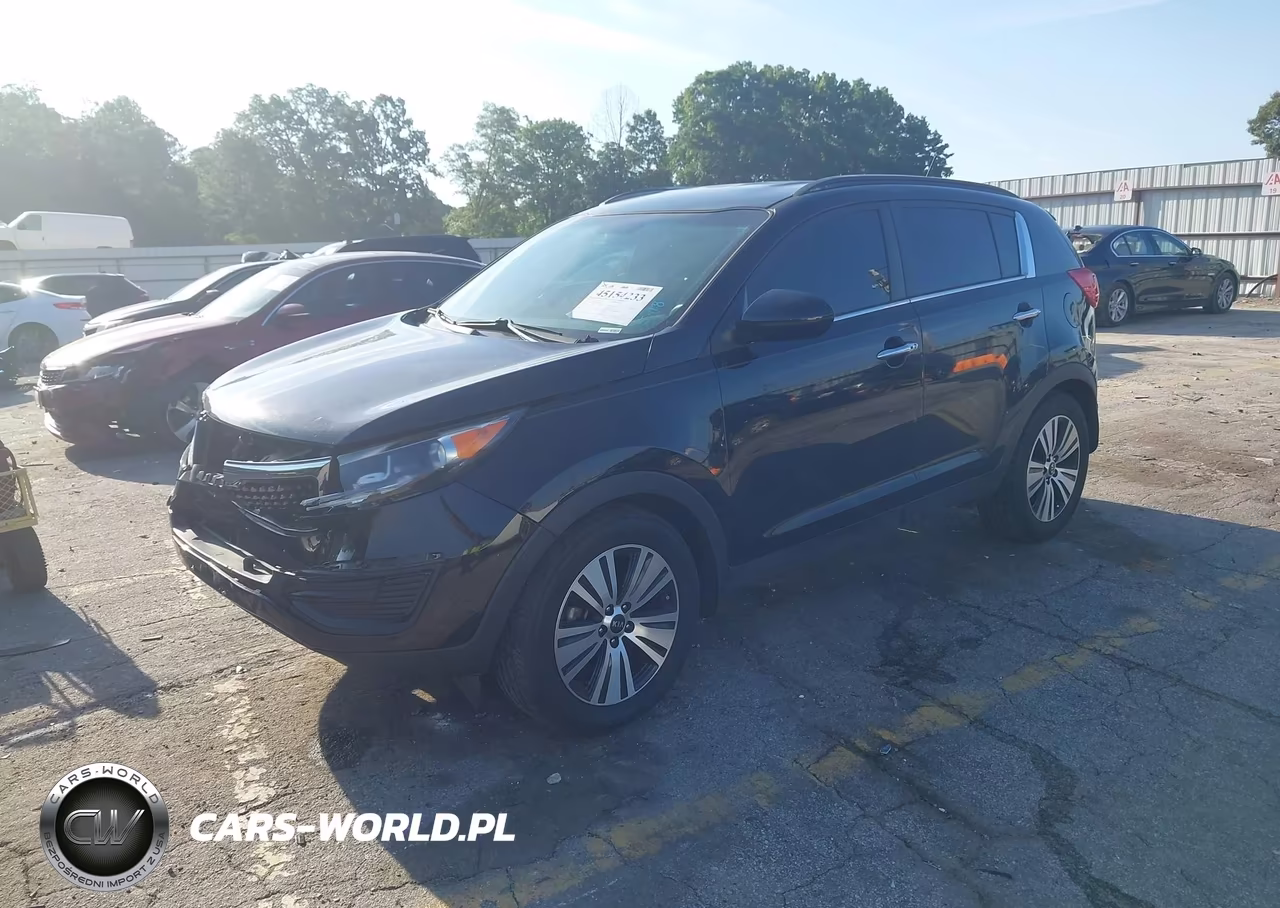 2016 Kia Sportage Ex VIN:KNDPC3AC4G7831163 - 2