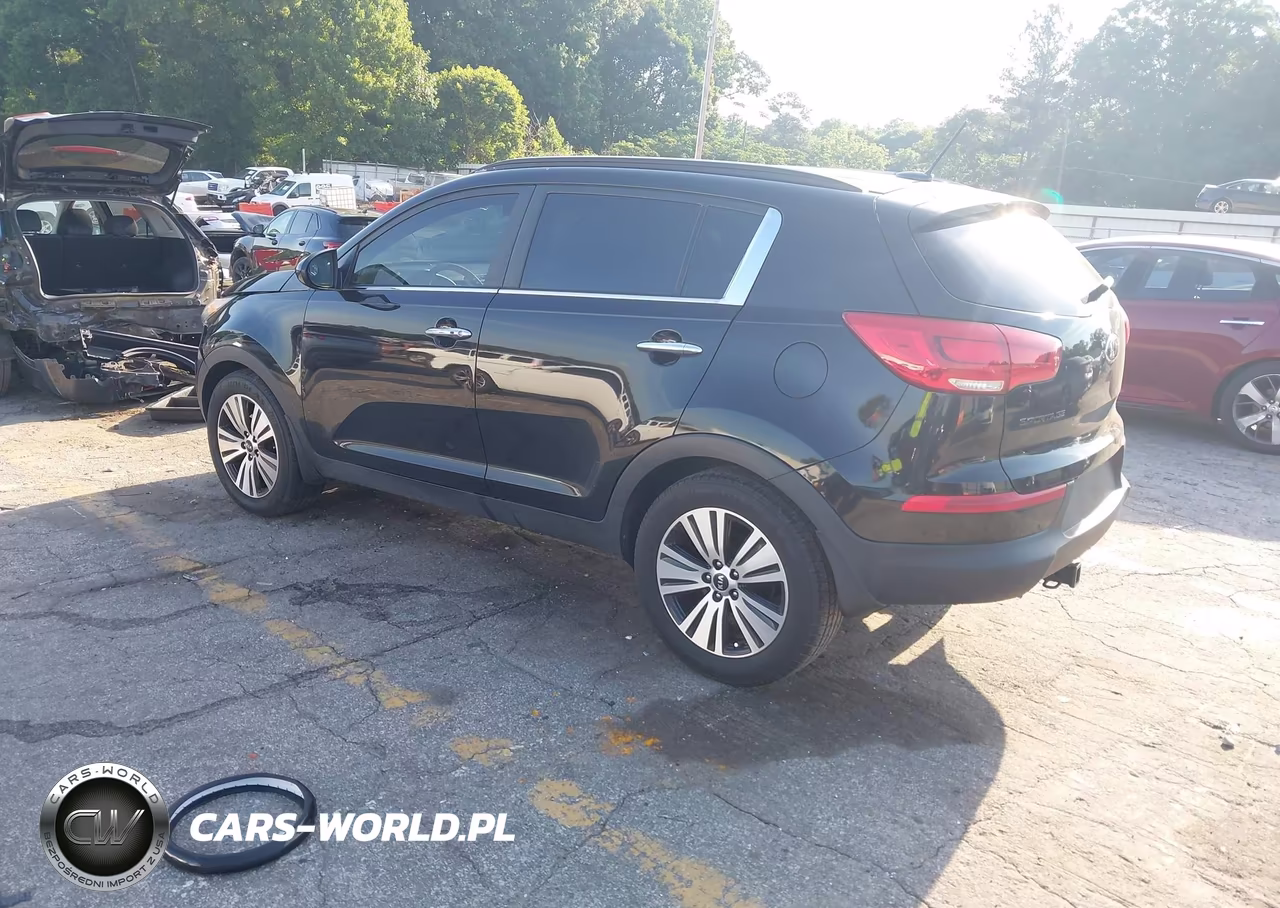 2016 Kia Sportage Ex VIN:KNDPC3AC4G7831163 - 3