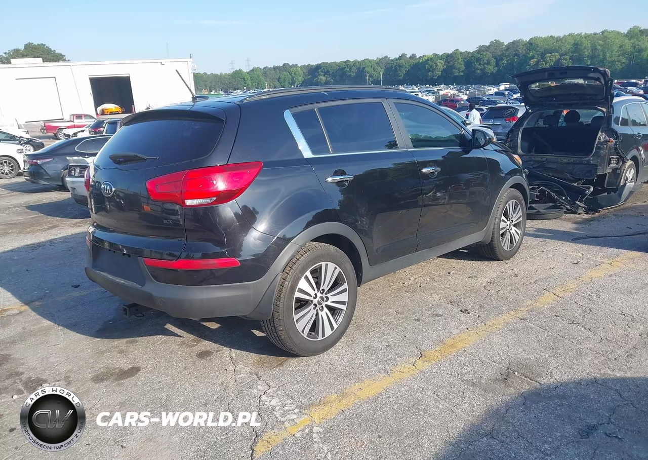 2016 Kia Sportage Ex VIN:KNDPC3AC4G7831163 - 4