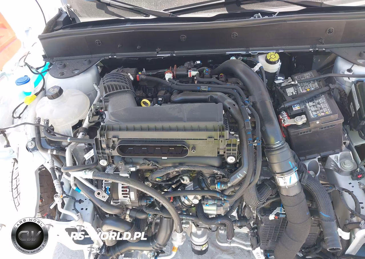 2025 Ford Bronco Sport Badlands VIN:3FMCR9DA5SRF20218 - 10