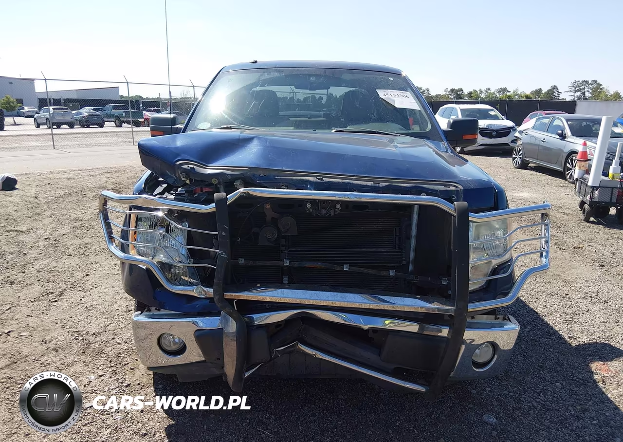 2010 Ford F-150 Fx4-Lariat-Xl-Xlt VIN:1FTFX1EV6AFD75289 - 13