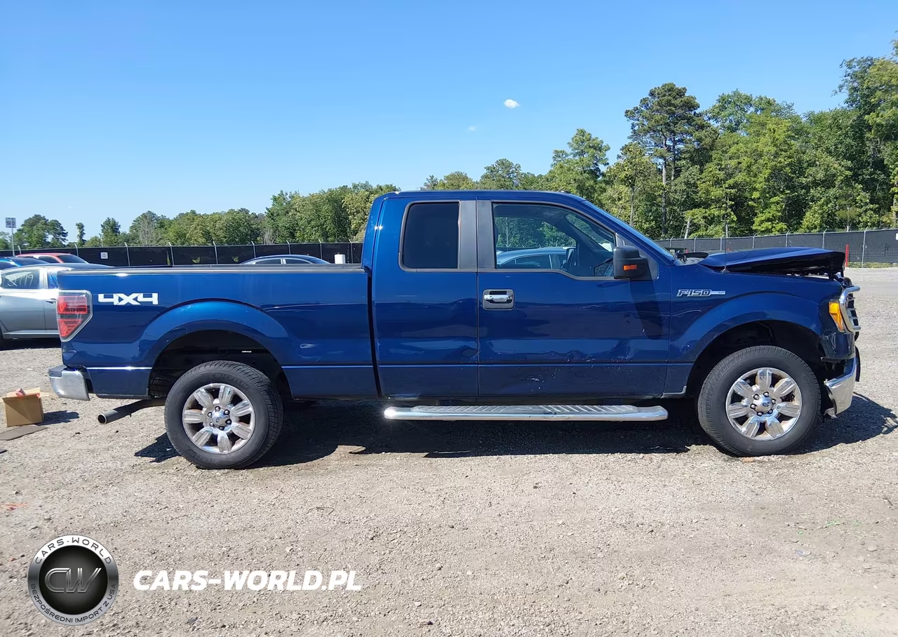 2010 Ford F-150 Fx4-Lariat-Xl-Xlt VIN:1FTFX1EV6AFD75289 - 14