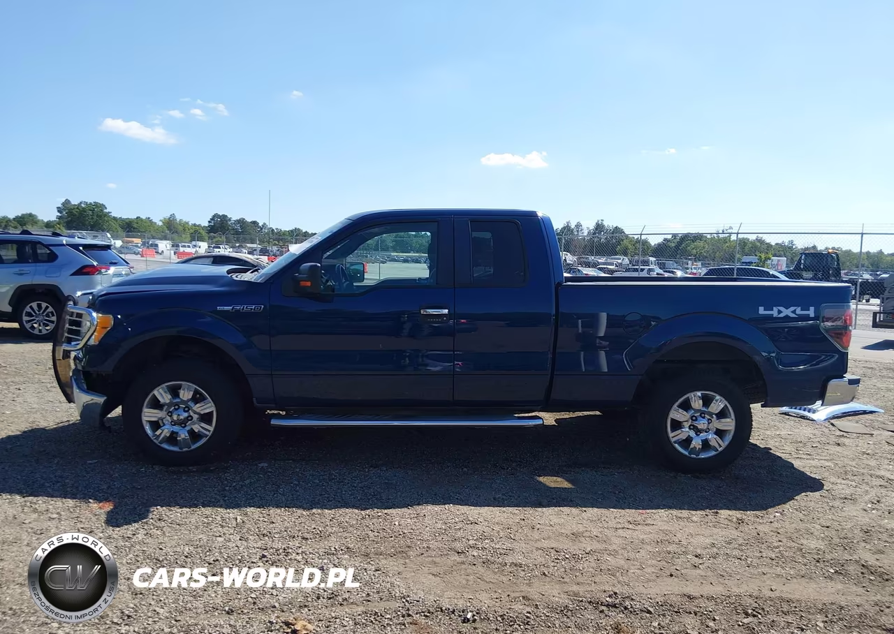 2010 Ford F-150 Fx4-Lariat-Xl-Xlt VIN:1FTFX1EV6AFD75289 - 15