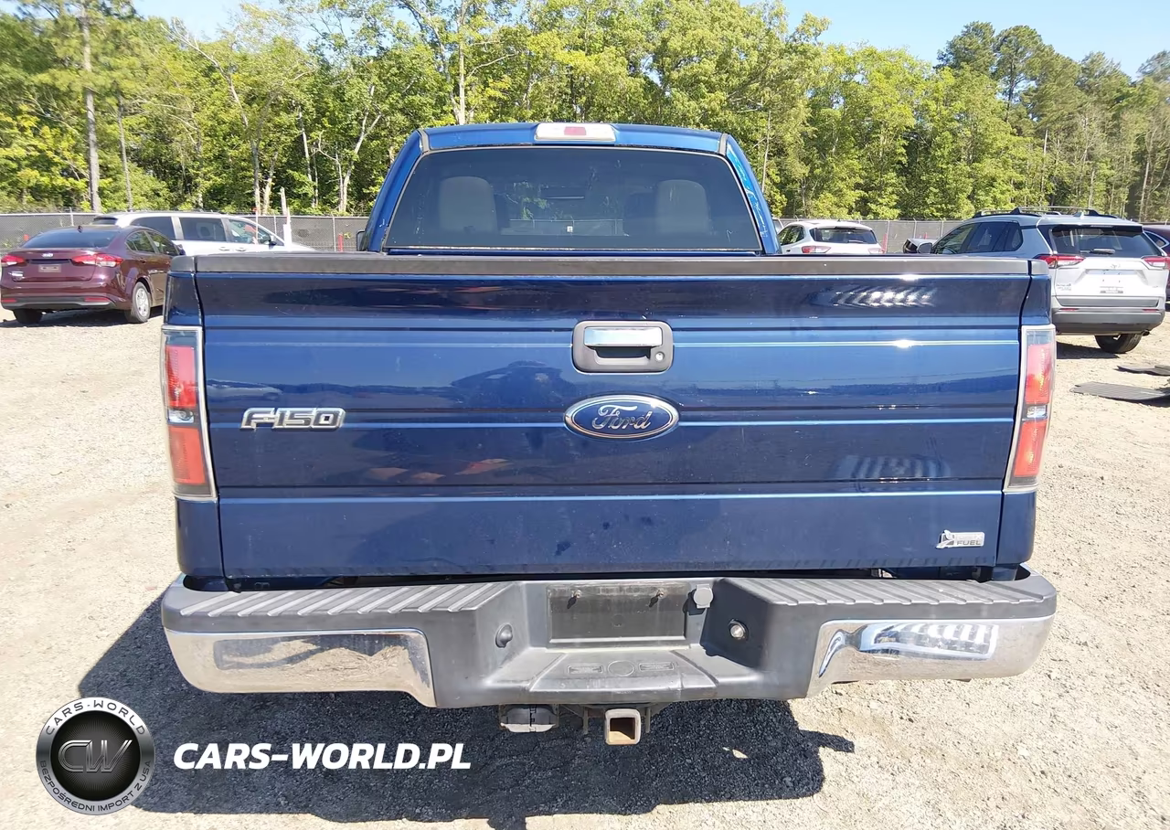 2010 Ford F-150 Fx4-Lariat-Xl-Xlt VIN:1FTFX1EV6AFD75289 - 17