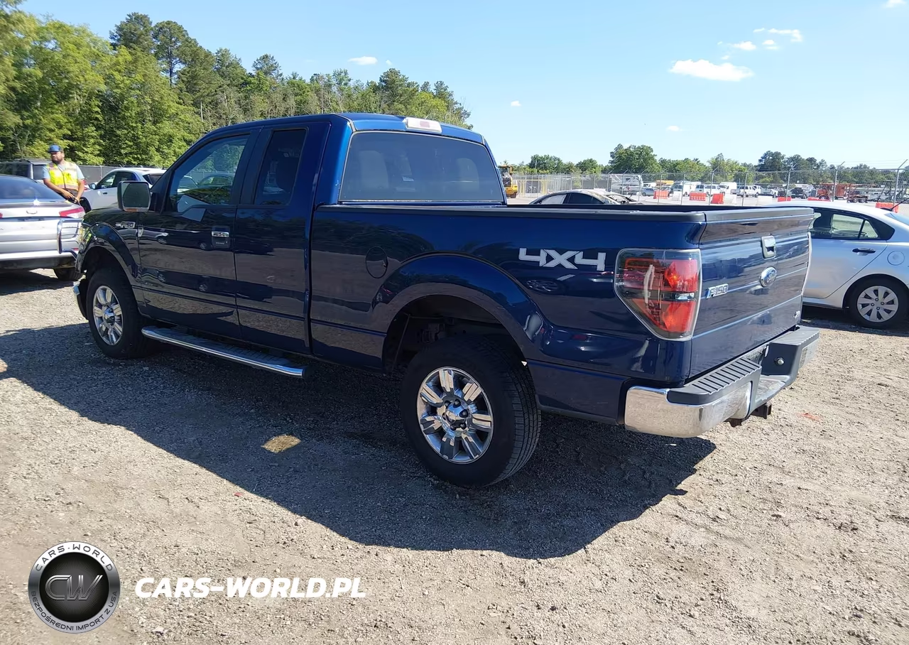 2010 Ford F-150 Fx4-Lariat-Xl-Xlt VIN:1FTFX1EV6AFD75289 - 3