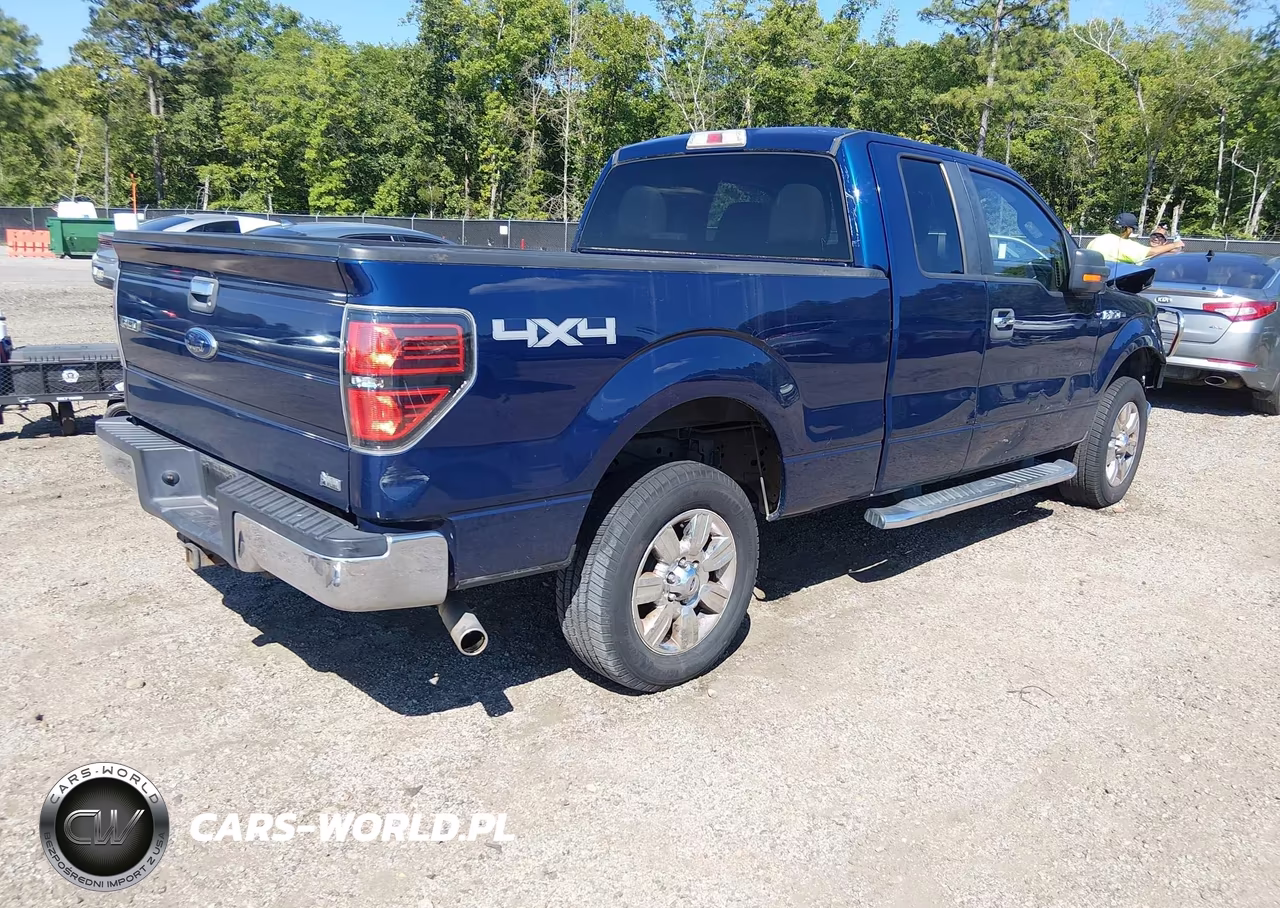 2010 Ford F-150 Fx4-Lariat-Xl-Xlt VIN:1FTFX1EV6AFD75289 - 4