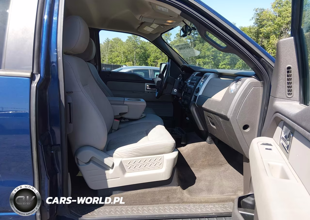 2010 Ford F-150 Fx4-Lariat-Xl-Xlt VIN:1FTFX1EV6AFD75289 - 5