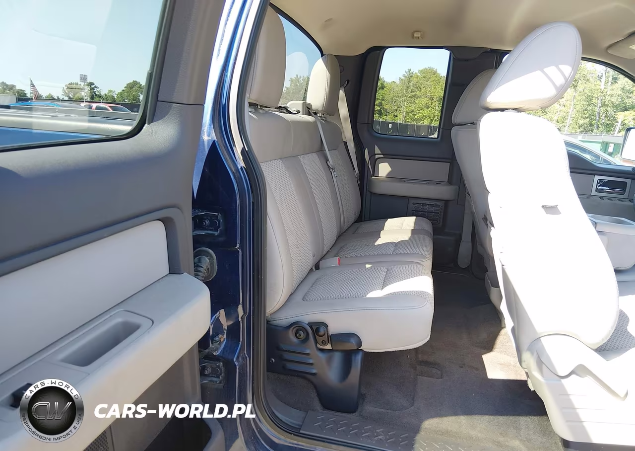 2010 Ford F-150 Fx4-Lariat-Xl-Xlt VIN:1FTFX1EV6AFD75289 - 8