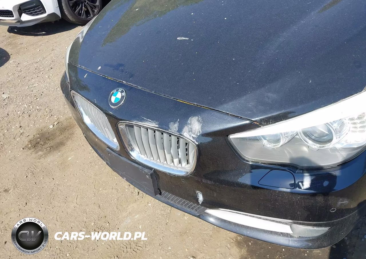 2010 BMW 550I Gran Turismo xDrive VIN:WBASP4C58AC341193 - 6