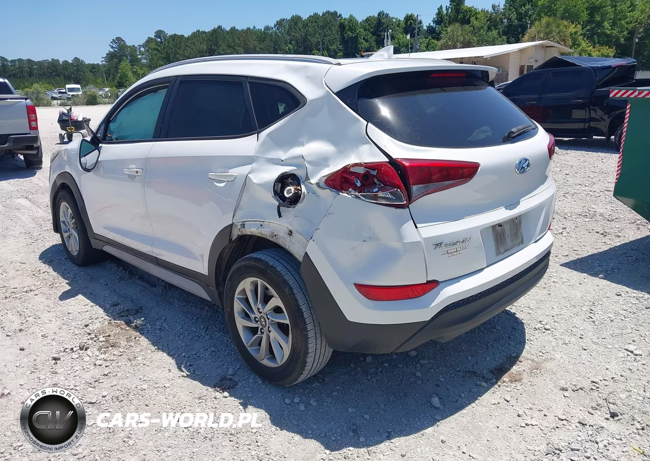 2018 Hyundai Tucson Sel VIN:KM8J33A48JU609566 - 3