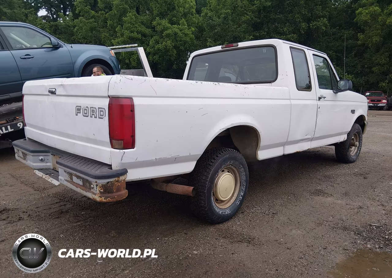 1994 Ford F150 VIN:1FTEX14H6RKB83185 - 4