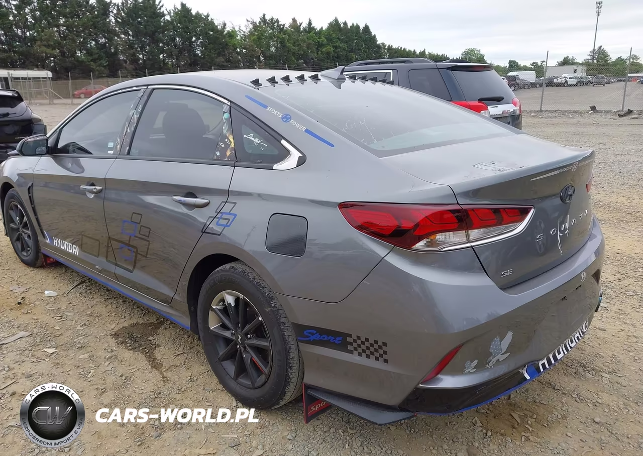 2019 Hyundai Sonata Se VIN:5NPE24AF5KH800129 - 3