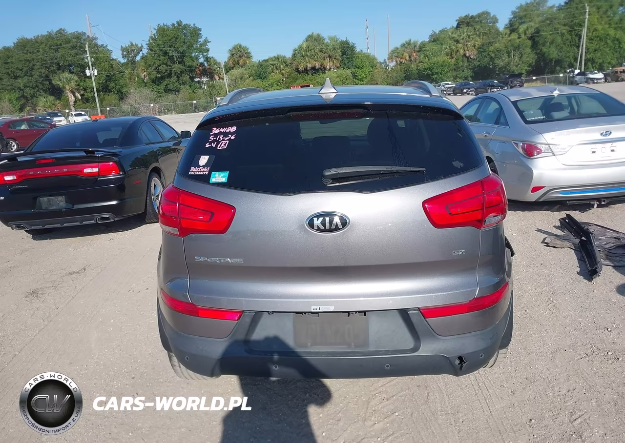 2016 Kia Sportage Ex VIN:KNDPC3AC8G7840206 - 17