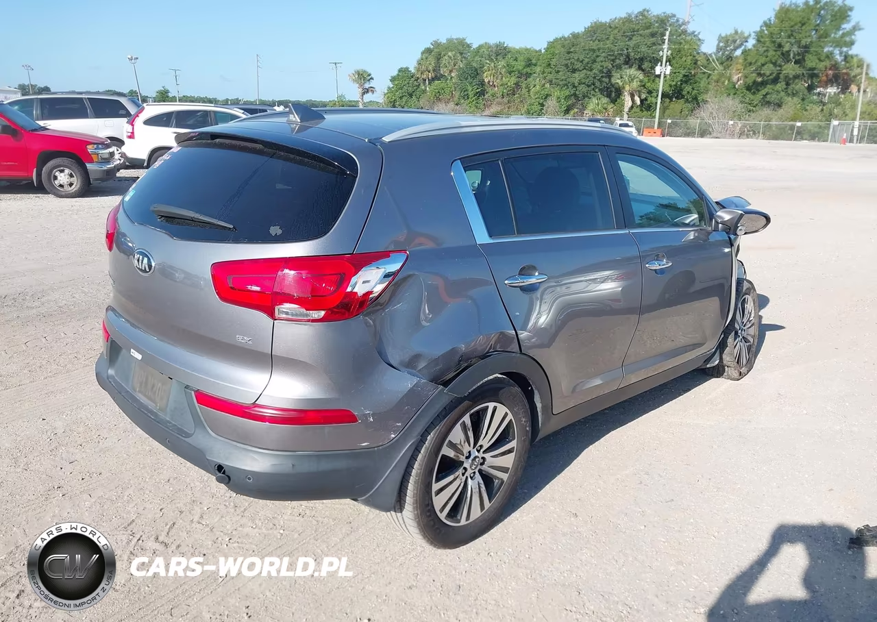 2016 Kia Sportage Ex VIN:KNDPC3AC8G7840206 - 4