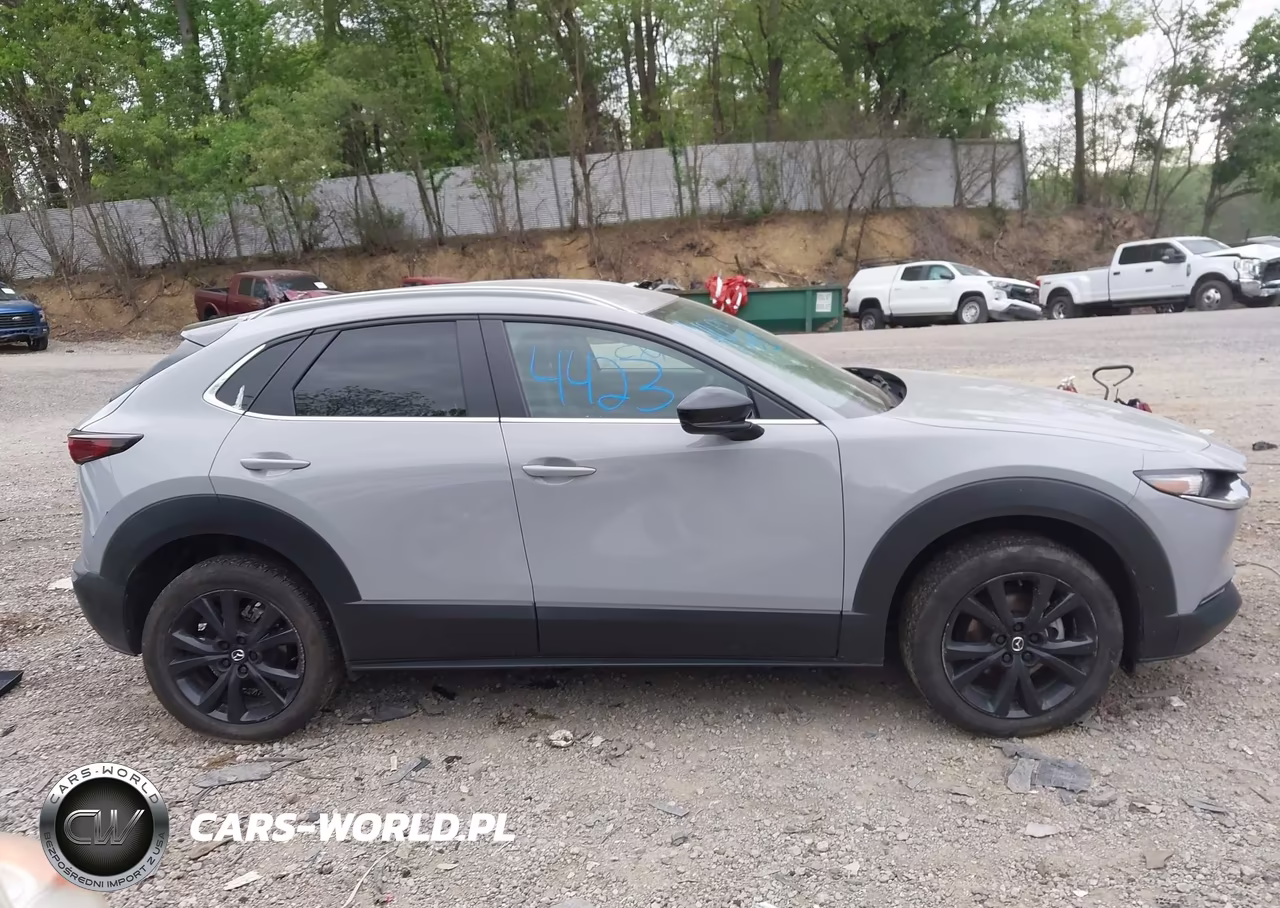 2025 Mazda Cx-30 2.5 S Select Sport VIN:3MVDMBBM6SM822673 - 12