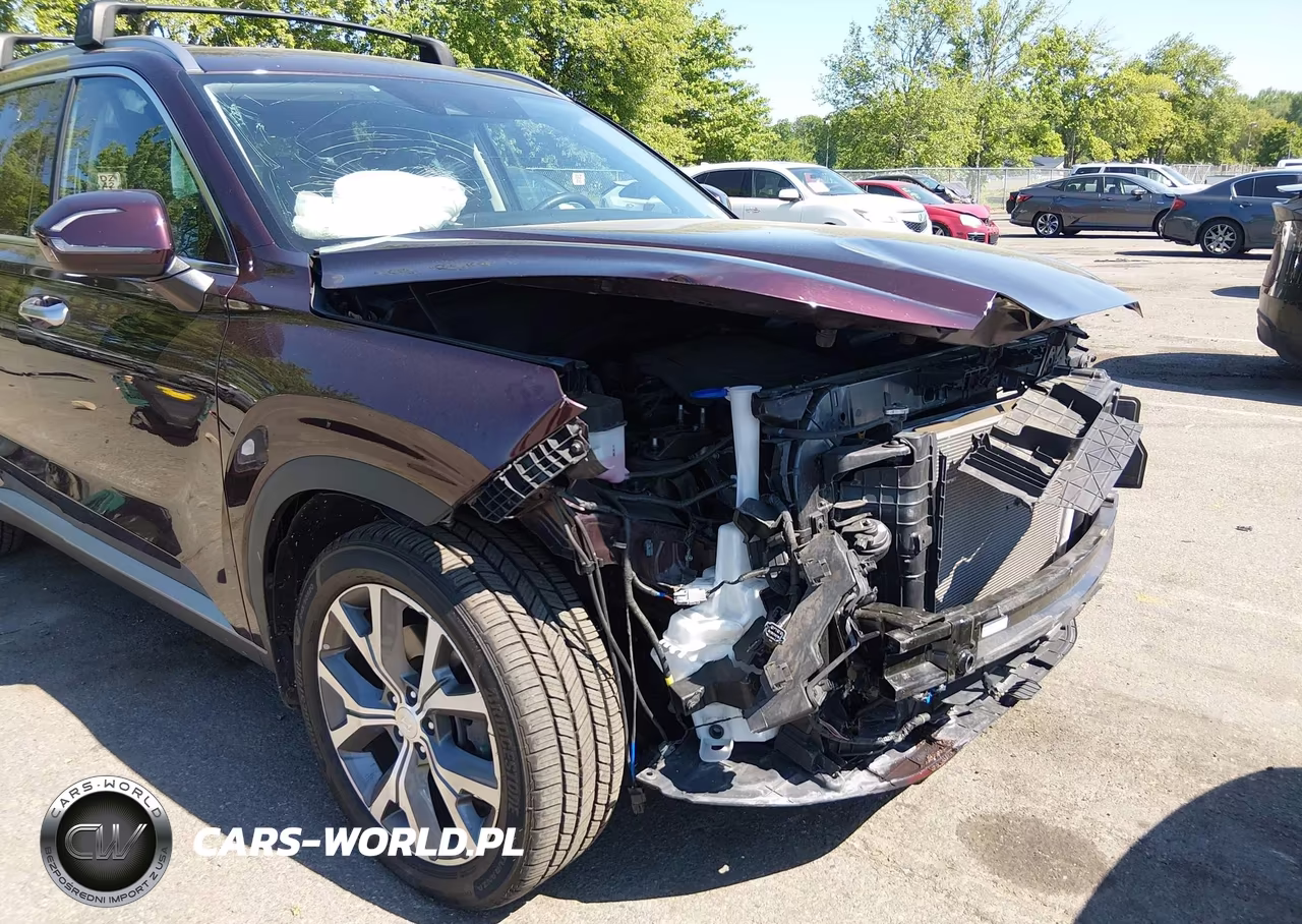 2022 Hyundai Palisade Sel VIN:KM8R4DHE8NU459209 - 6