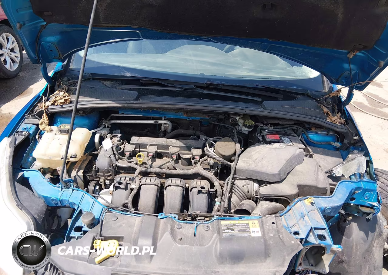 2014 Ford Focus Se VIN:1FADP3F22EL105948 - 10