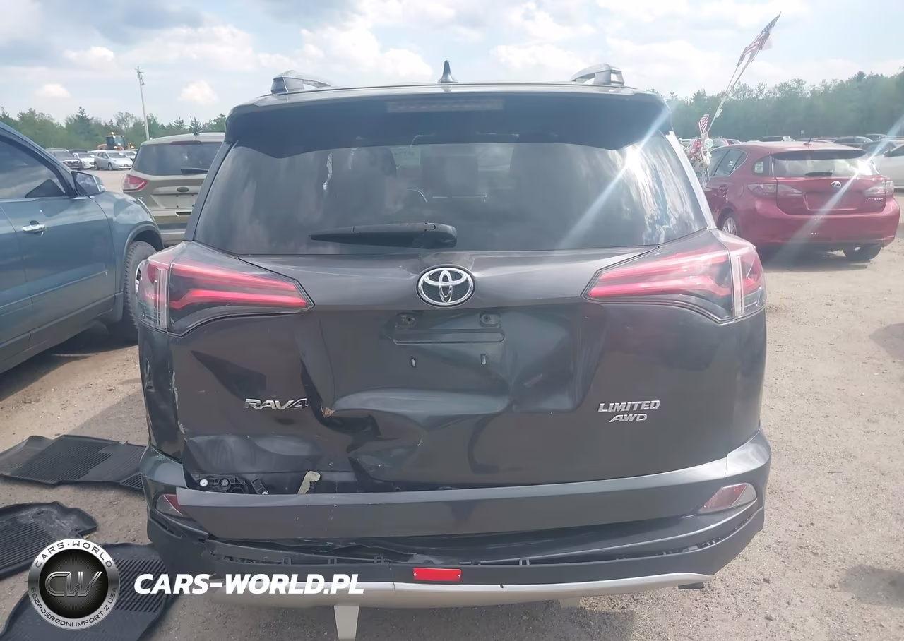 2018 Toyota Rav4 Limited VIN:JTMDFREV2JJ188539 - 17