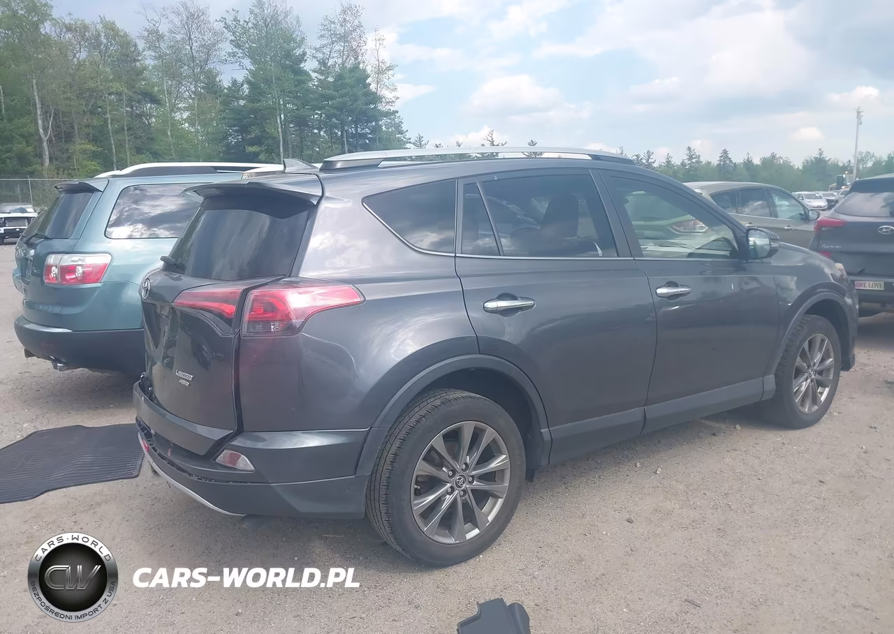 2018 Toyota Rav4 Limited VIN:JTMDFREV2JJ188539 - 4