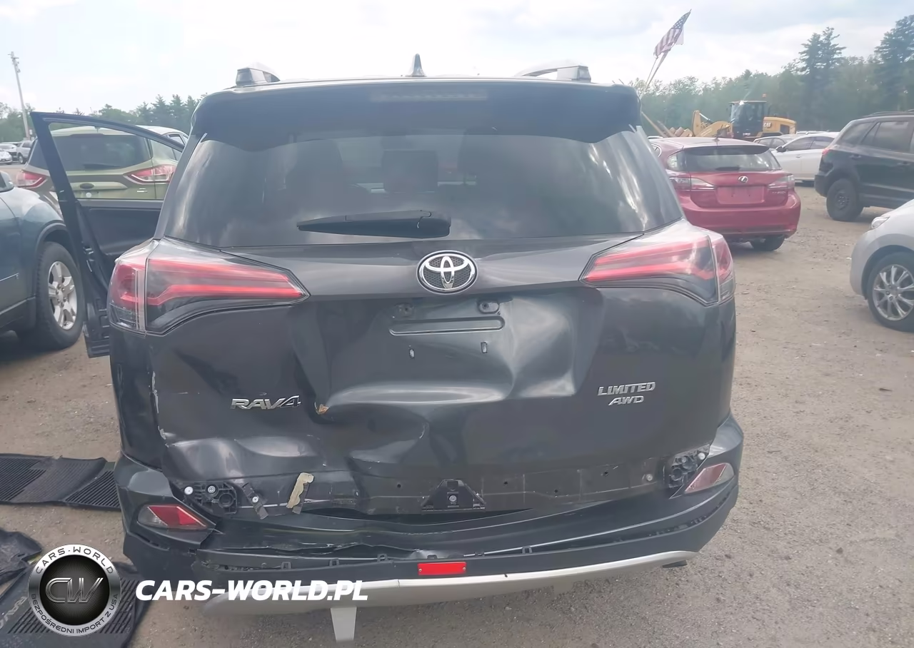 2018 Toyota Rav4 Limited VIN:JTMDFREV2JJ188539 - 6