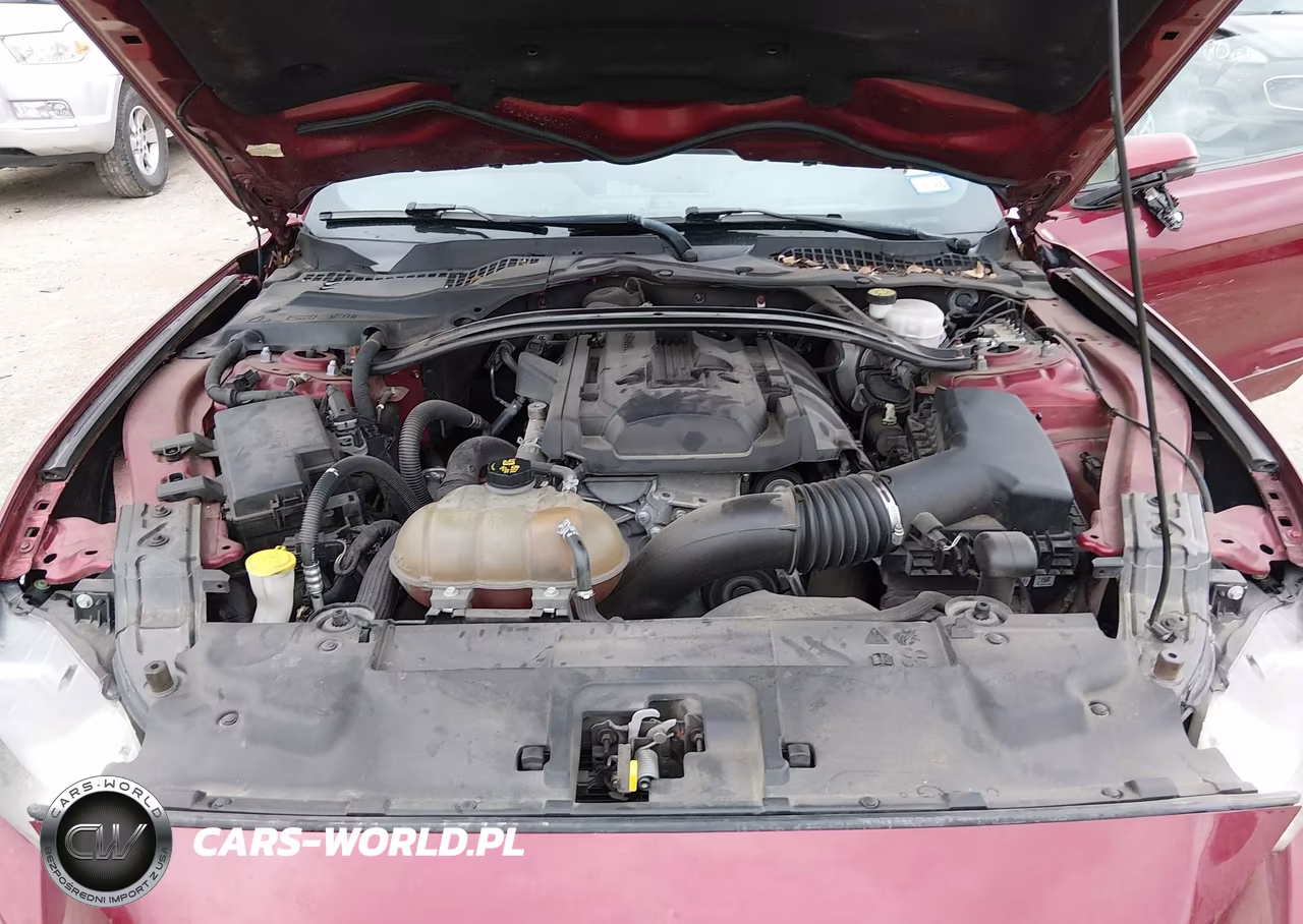 2019 Ford Mustang Ecoboost Premium VIN:1FATP8UH6K5150990 - 10
