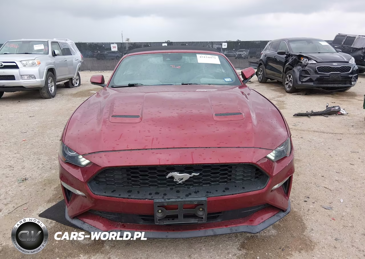 2019 Ford Mustang Ecoboost Premium VIN:1FATP8UH6K5150990 - 12