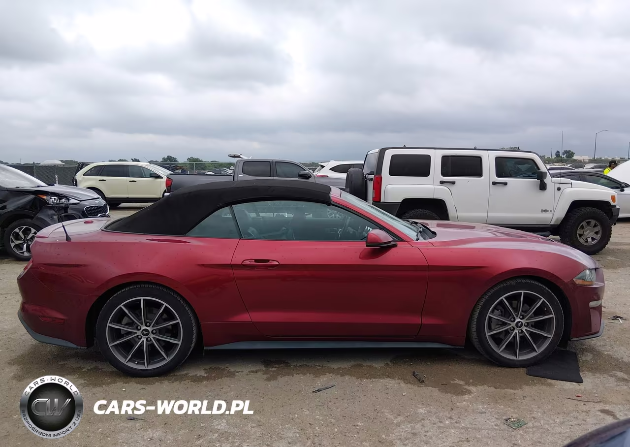 2019 Ford Mustang Ecoboost Premium VIN:1FATP8UH6K5150990 - 13