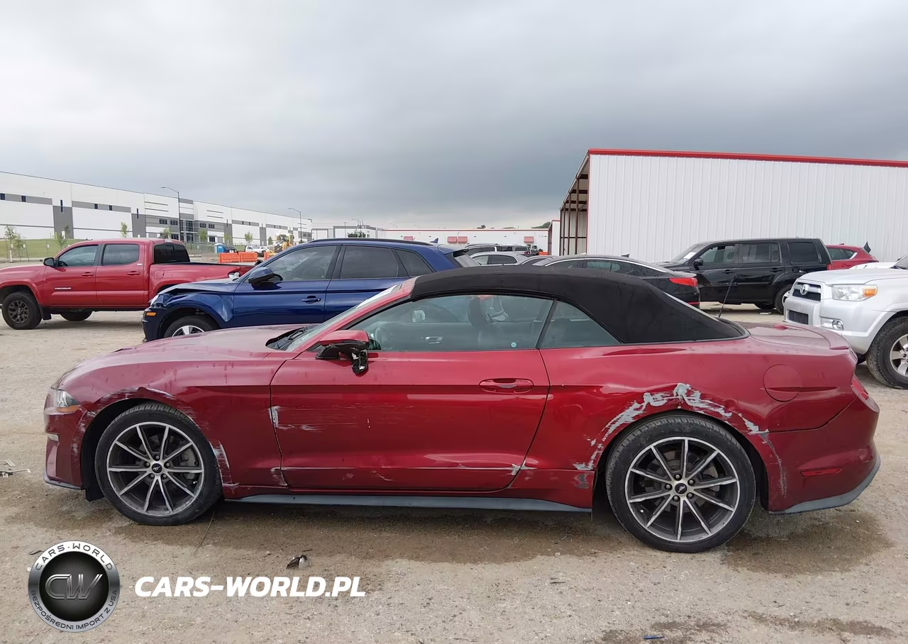 2019 Ford Mustang Ecoboost Premium VIN:1FATP8UH6K5150990 - 14