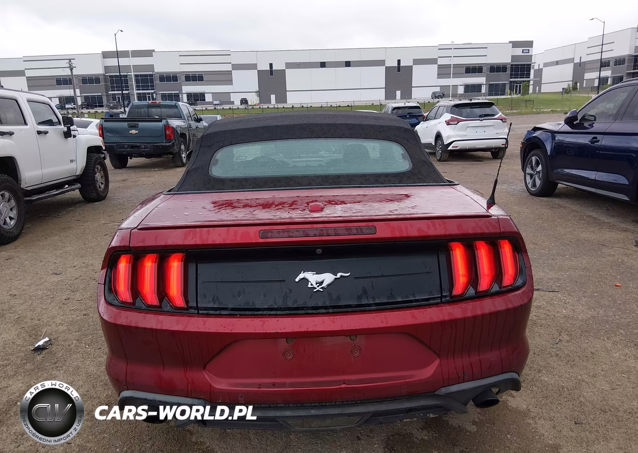2019 Ford Mustang Ecoboost Premium VIN:1FATP8UH6K5150990 - 16